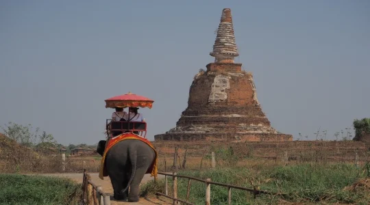 アユタヤ象乗り